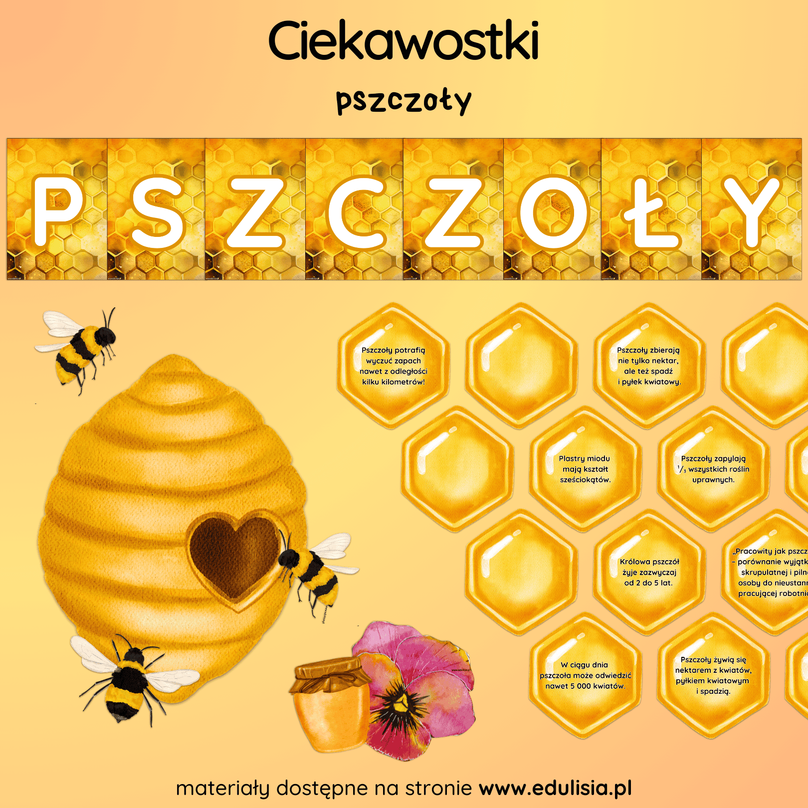 Pszczoły Gazetka Ciekawostki Dla Dzieci Na Gazetkę i Zajęcia PDF