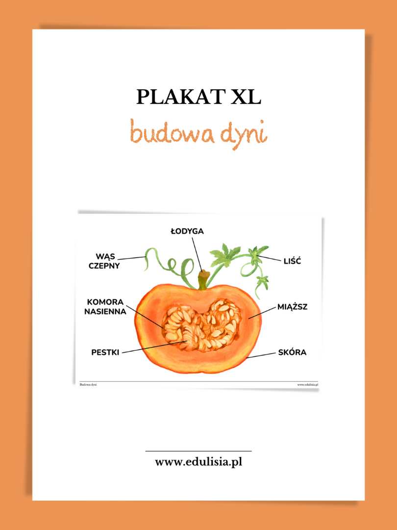 Budowa dyni zestaw do druku dzień dyni