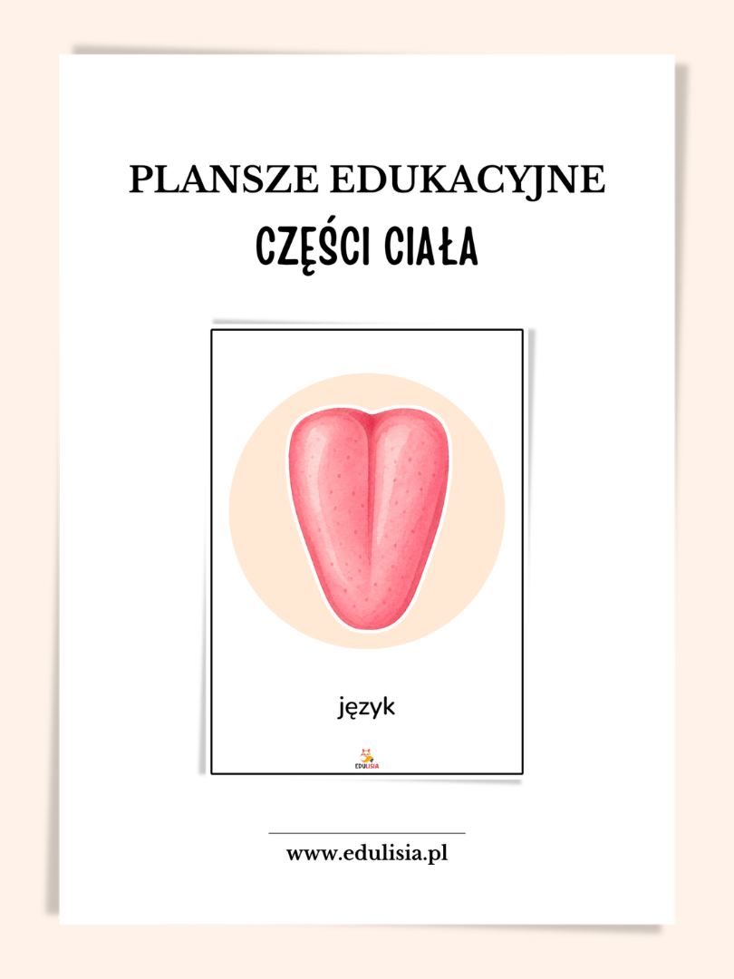 części ciała człowieka pomoce dydaktyczne pdf do druku