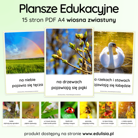 Wiosna Zwiastuny - Plansze Edukacyjne Zdjęcia