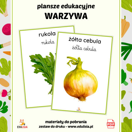 plansze edukacyjne obrazki warzywa dla dzieci cebula pdf 