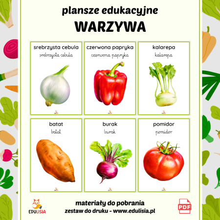 plansze do druku warzywa zdrowie odżywanie dla dzieci pomoce dydaktycze pdf