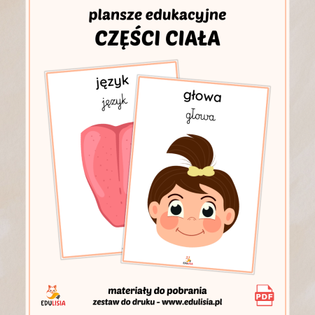 części ciała człowieka do druku plansze obrazki dla dzieci do pobrania