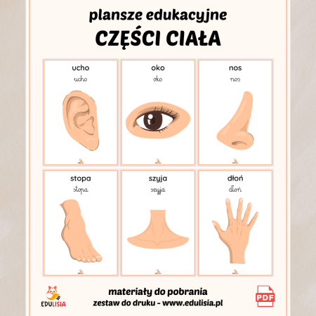 części ciała dla dzieci do druku obrazki do pobrania plansze edukacyjne