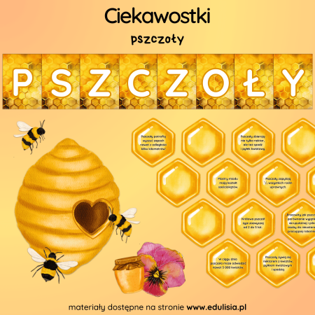 gazetka pszczoły ciekawostki do druku dla dzieci pdf