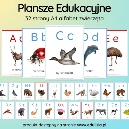 Alfabet - Plansze Edukacyjne - Zwierzęta Pismo Uproszczone