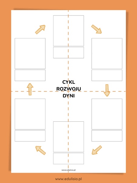 cykl życia dyni przedszkole duży format