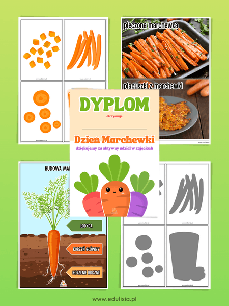 międzynarodowy dzień marchewki budowa marchwi i plansze edukacyjne
