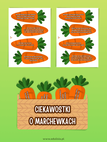 międzynarodowy dzień marchewki - ciekawostki o marchewkach