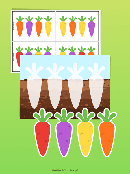 Międzynarodowy Dzień Marchewki - zestaw