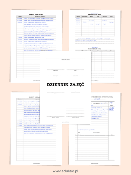 Dziennik zajęć grupy - wzór (ebook)