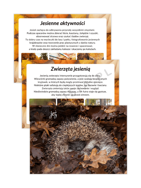 jesień – dekoracje i plansze na tablicę szkolną