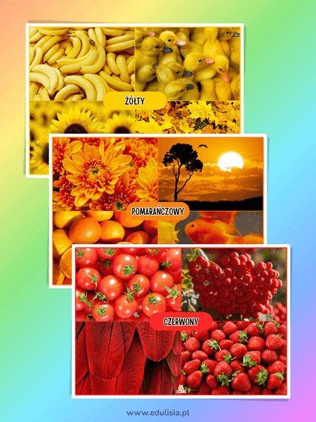 Kolory przyrody - plansze edukacyjne