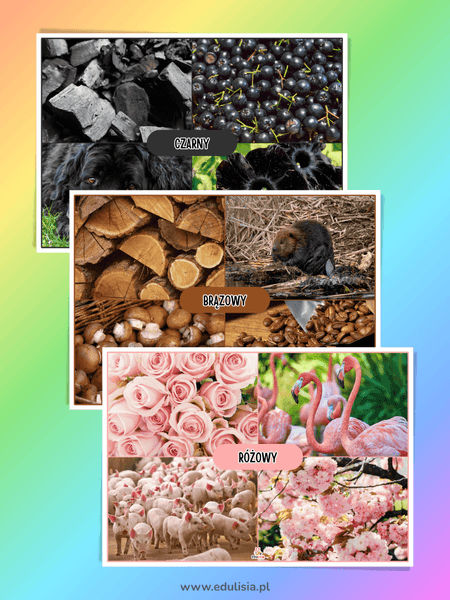 plansze z kolorami do żłobka i przedszkola