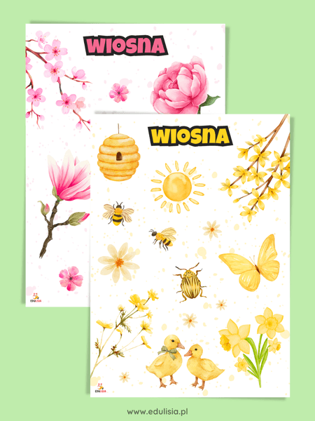 kolory wiosna plansze dydaktyczne do druku