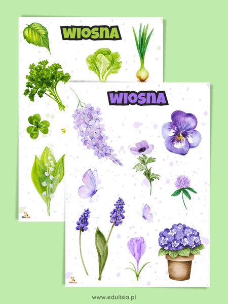 nauka kolorów kolorowe plansze do druku