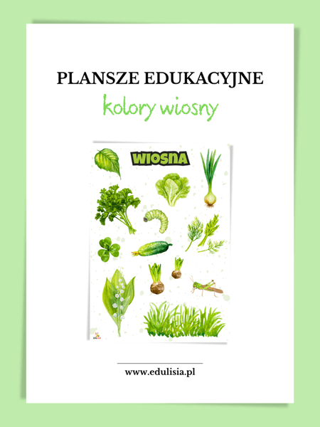 kolory wiosny plansze edukacyjne do druku