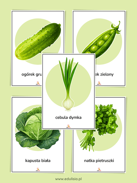 wiosna warzywa plansze demonstracyjne do pobrania