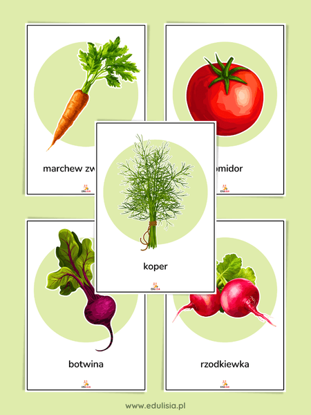 kolorowe plansze obrazki z warzywami dla dzieci 