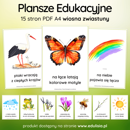 Wiosna Zwiastuny - Plansze Edukacyjne Obrazki