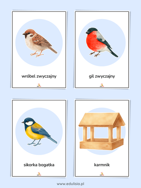 Ptaki zimą - wróbel, gil, sikorka, karmnik - plansze demonstracyjne