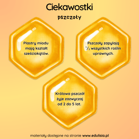 ciekawostki o pszczołach do druku dla dzieci na gazetkę i zajęcia