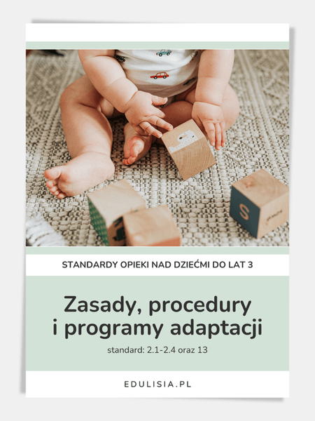 Zasady, procedury i programy adaptacji - wzór