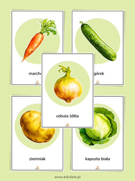 wiosenne warzywa plansze dydaktyczne pdf do druku