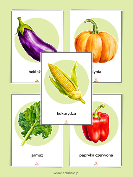 jesienne warzywa plansze dydaktyczne pdf do druku
