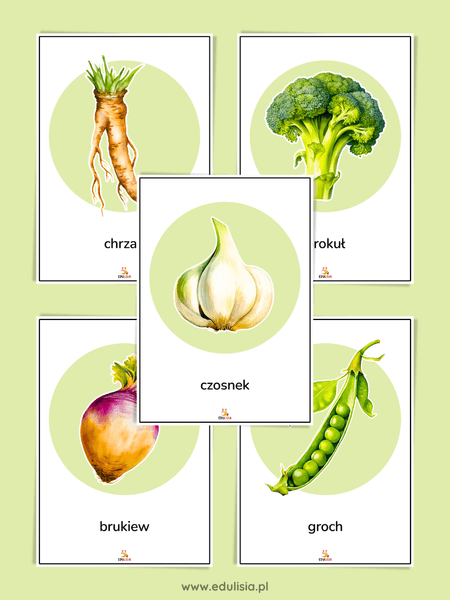 warzywa pomoce dydaktyczne pdf do druku