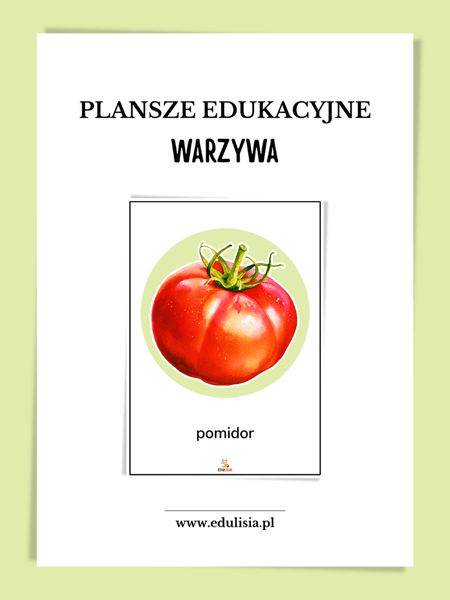 warzywa plansze dydaktyczne pdf do druku