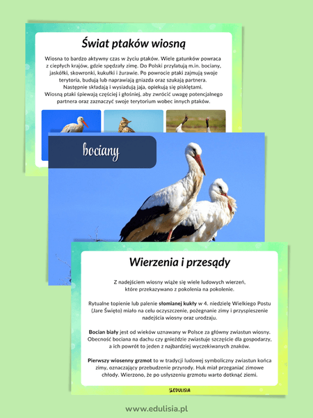 wiosna i bociany - gazetka szkolna pdf do druku