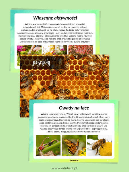 wiosenne aktywności, owady na łące - gazetka szkolna o wiośnie do druku