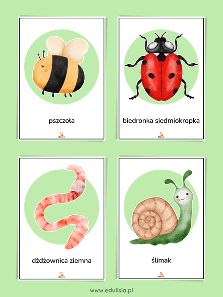 owady i zwierzęta wiosna - oznaki - plansze dydaktyczne do druku