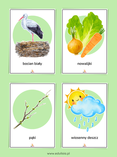 Wiosna - plansze edukacyjne