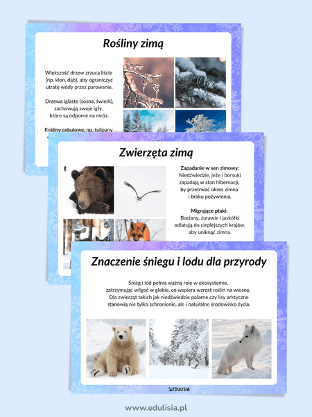 Gazetka szkolna Zima – Rośliny i Zwierzęta Zimą