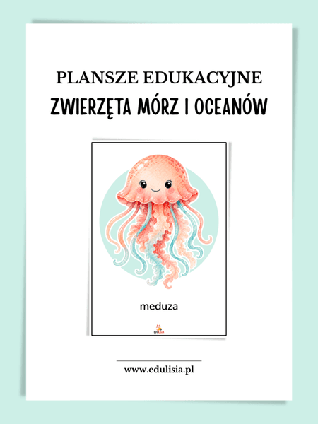 Zwierzęta mórz i oceanów - plansze edukacyjne