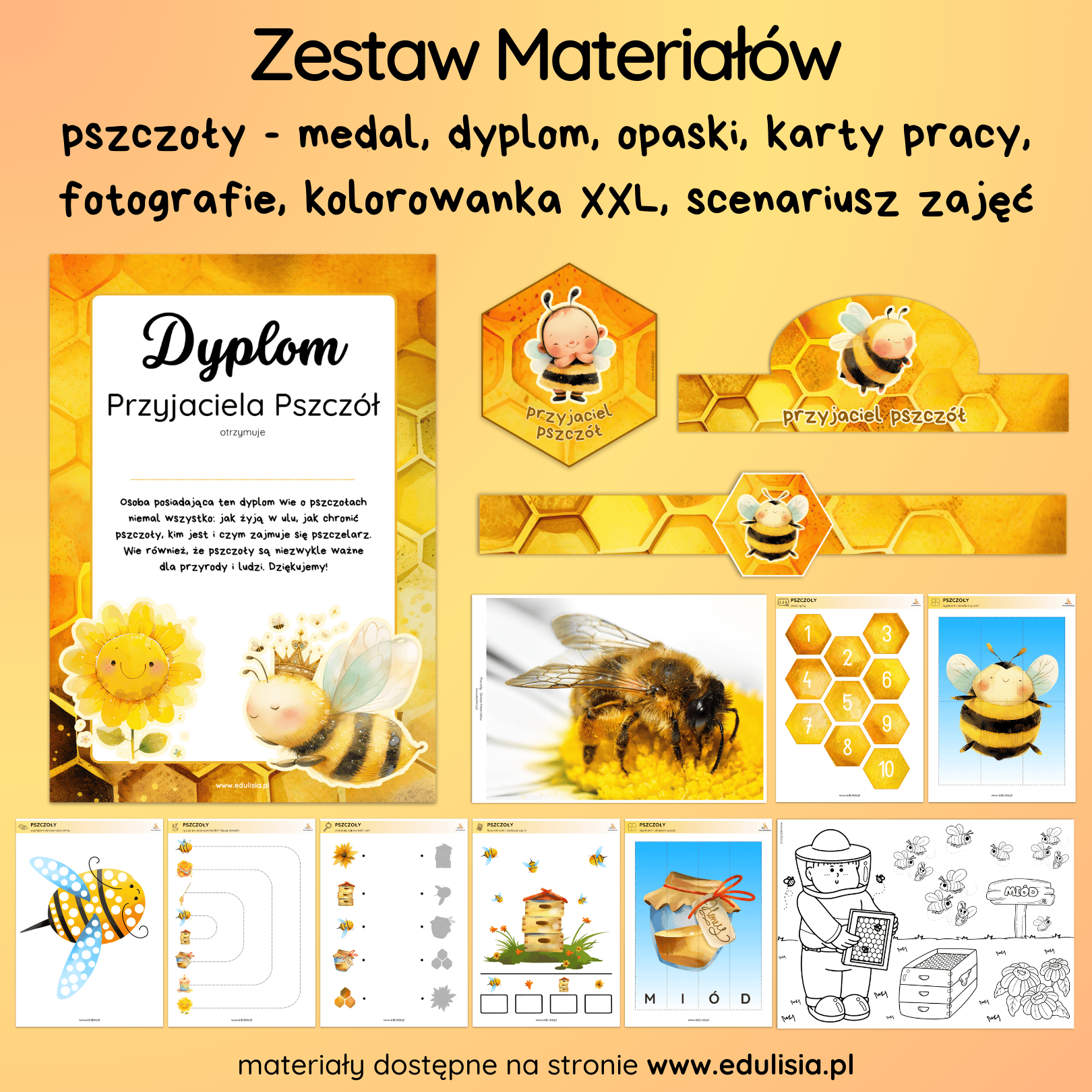 Zestaw o pszczołach - opaska, medal, dyplom, karty pracy, kolorowanka PDF