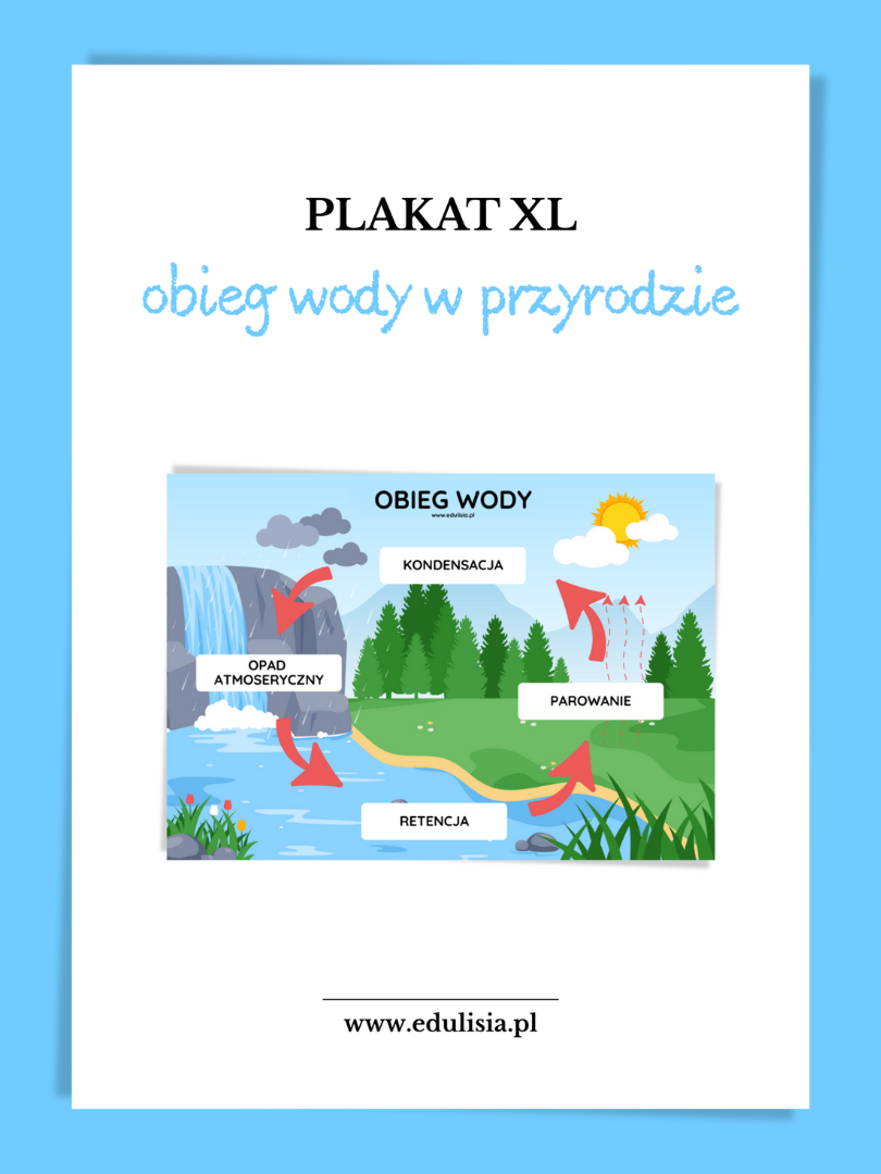 obieg wody w przyrodzie plakat xl do druku