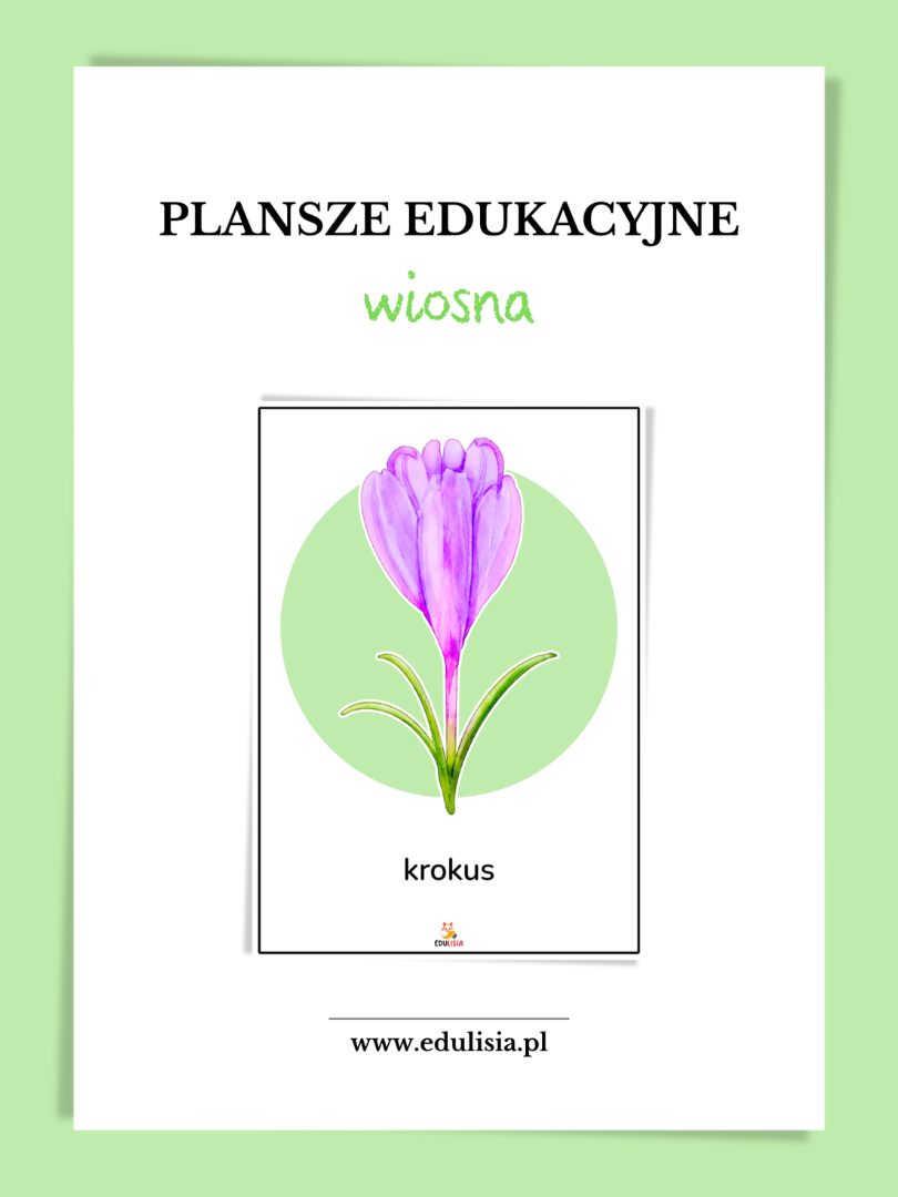 oznaki wiosny plansze demonstracyjne do druku