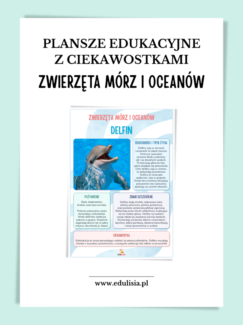Zwierzęta mórz i oceanów plansze edukacyjne z ciekawostkami